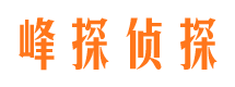 漳县市婚外情调查